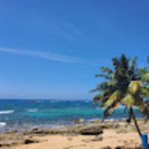 Meet your Posher, Roberta